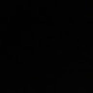 Meet your Posher, Sally t